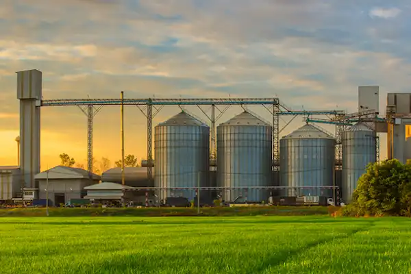 Food Processing Facility